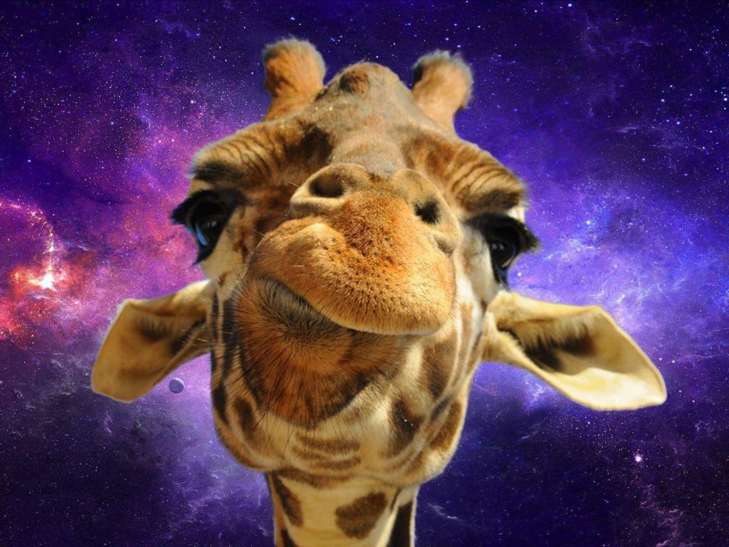 Space Giraffe wallpaper