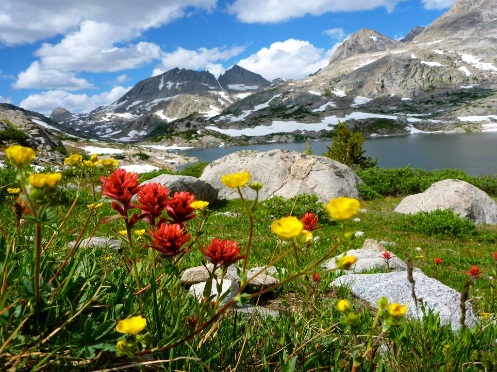 Spring is There so Go Outside Like This Mountains Lake wallpaper