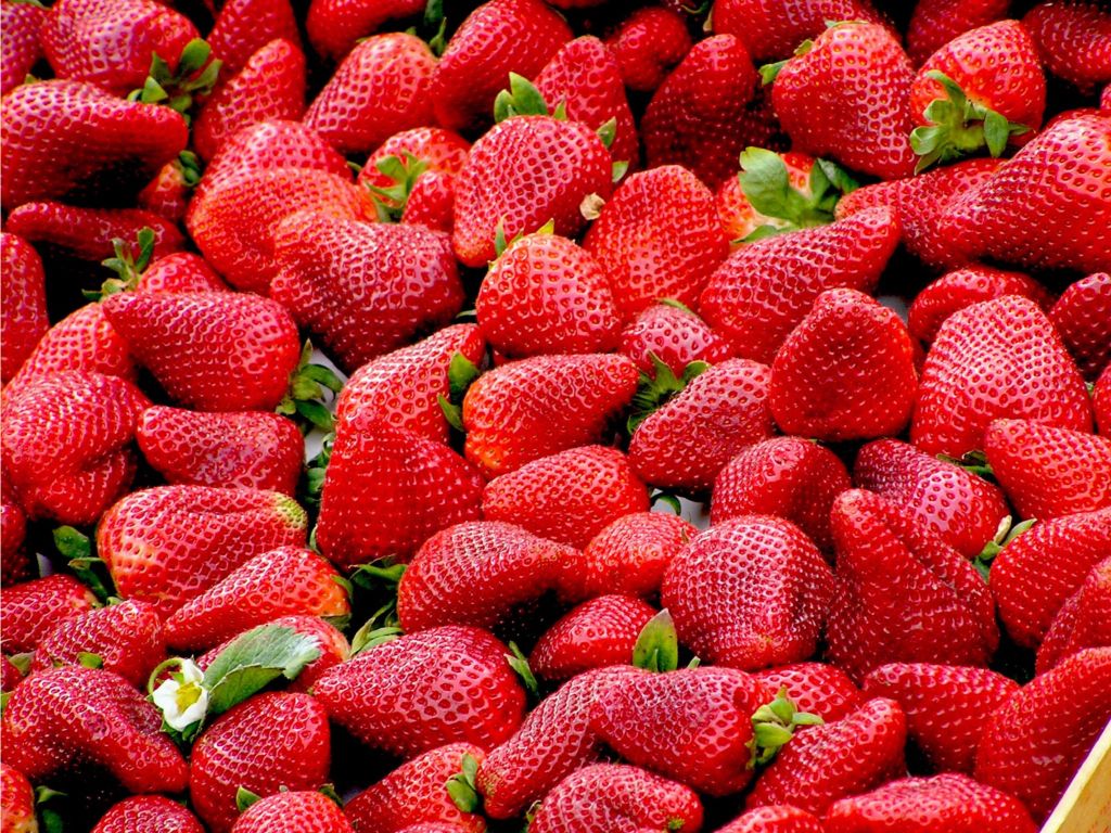 Strawberries Summer S wallpaper