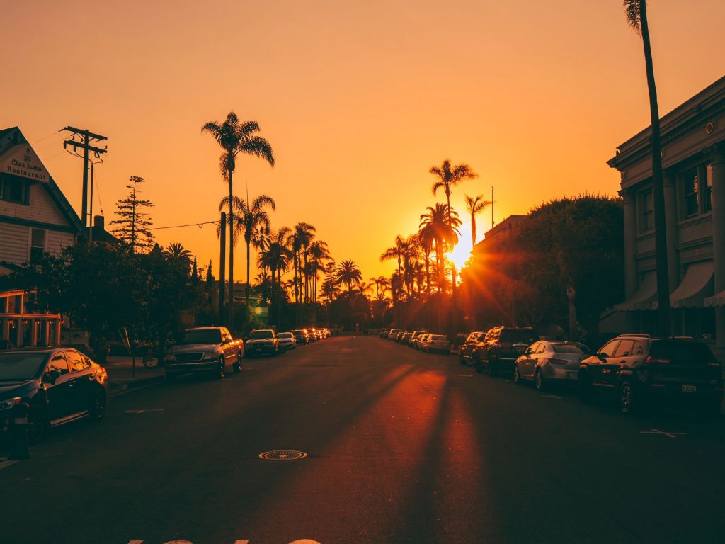 Street Sunset Palm Trees wallpaper