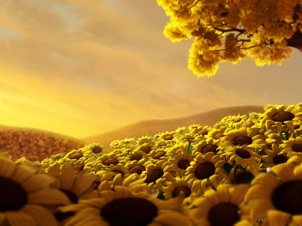 Sun Flower World HD wallpaper