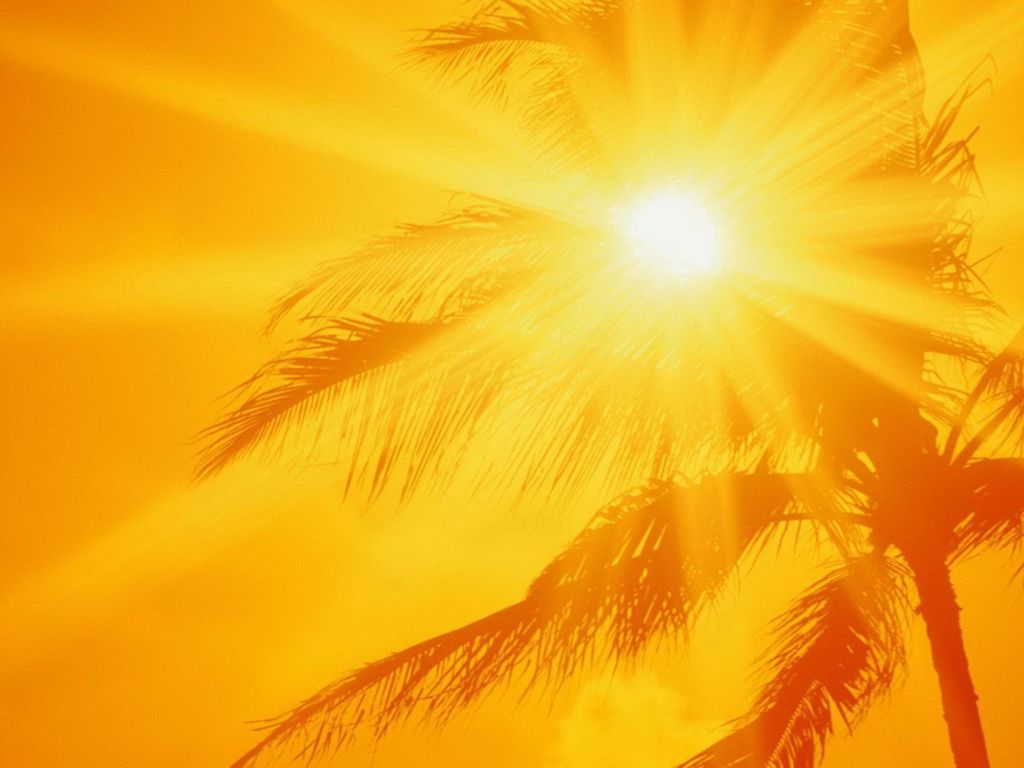 Sun Tropic Summer wallpaper