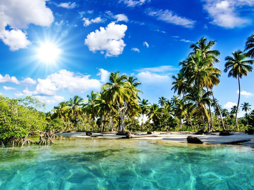 Sunny Sea and Palm Trees wallpaper