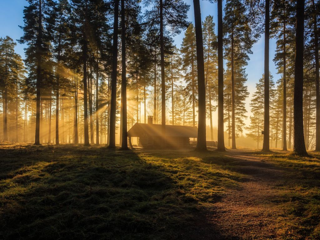 Sunrise at Tallmon Nature Reserve Sweden wallpaper