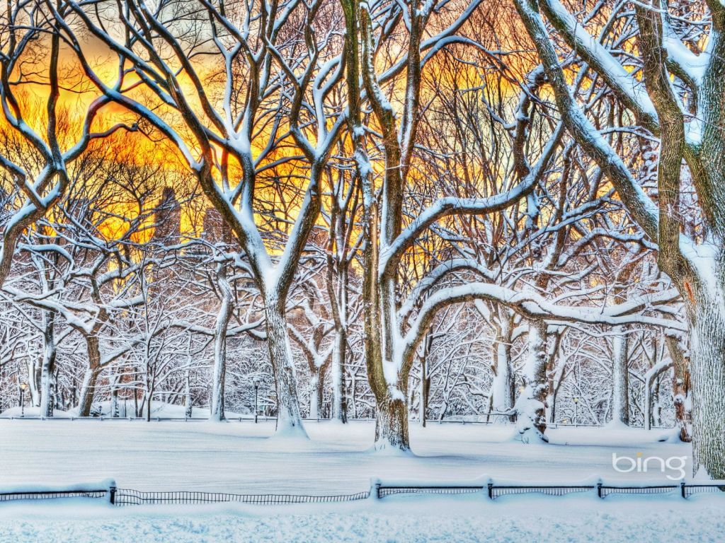 Sunrise in Central Park After a Snowstorm in New York City wallpaper