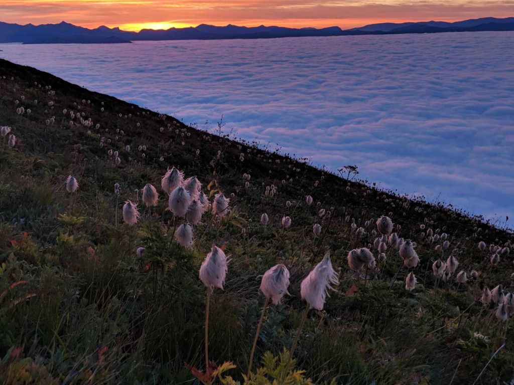 Sunrise on Tatoosh Peak Washington State wallpaper