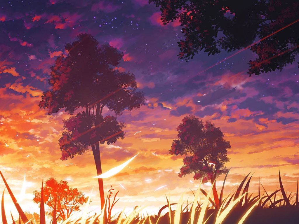 Sunset Anime wallpaper