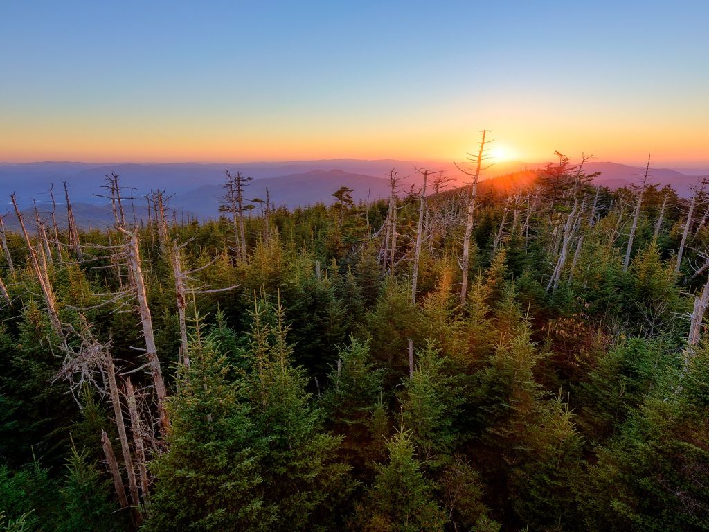 Sunset at Clingmans Dome - the Highest Point in the Great Smoky Mountain National Park wallpaper