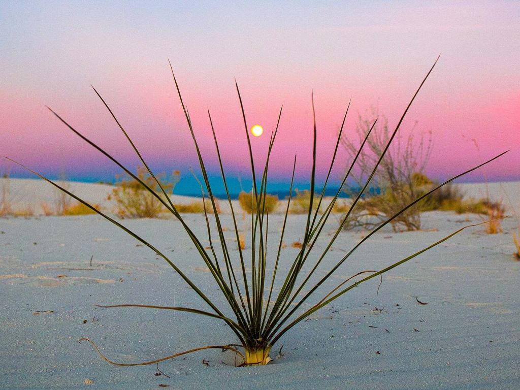 Sunset at White Sands New Mexico wallpaper