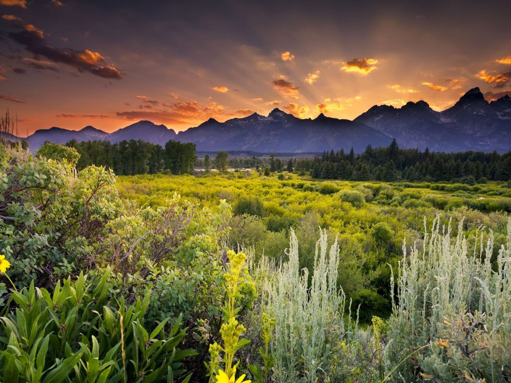 Sunset in Grand Teton National Park wallpaper