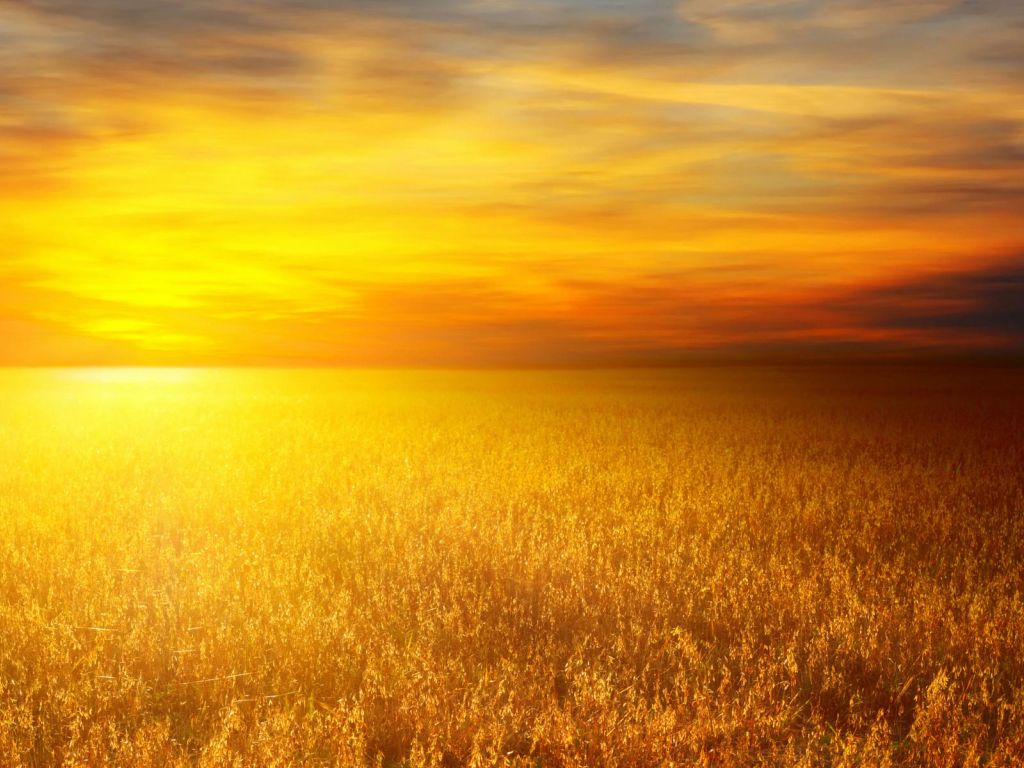 Sunset Over Wheat Bales wallpaper