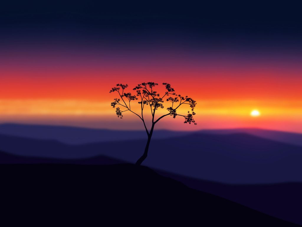 Sunset Tree wallpaper