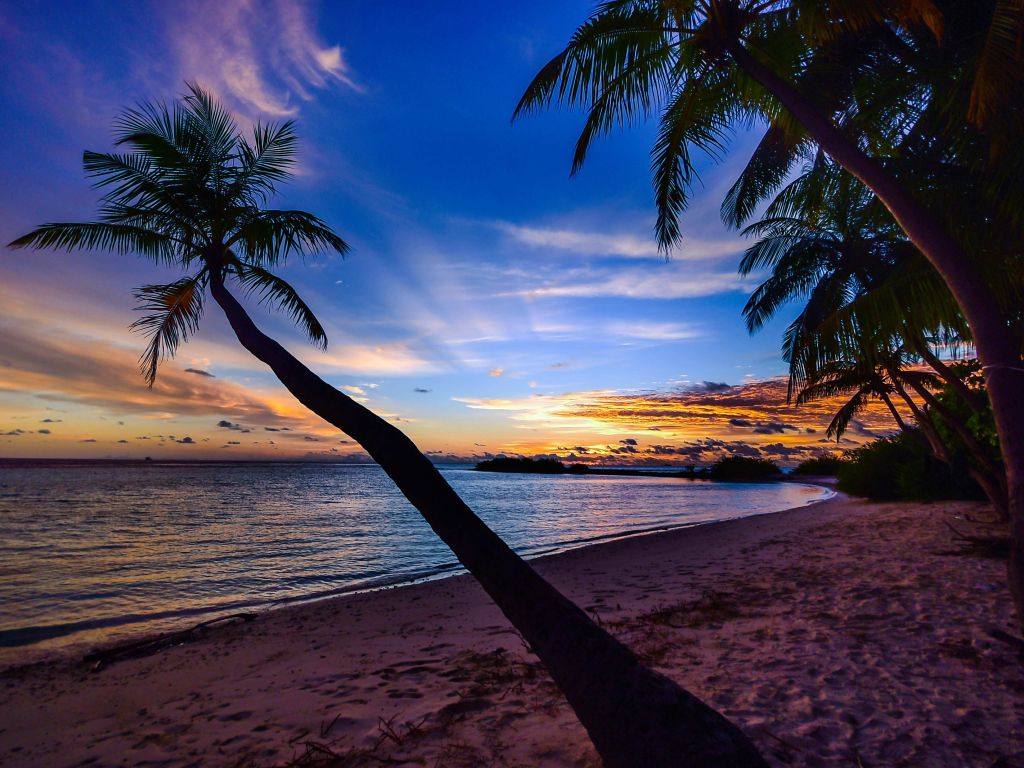 Sunset View at the Beach wallpaper