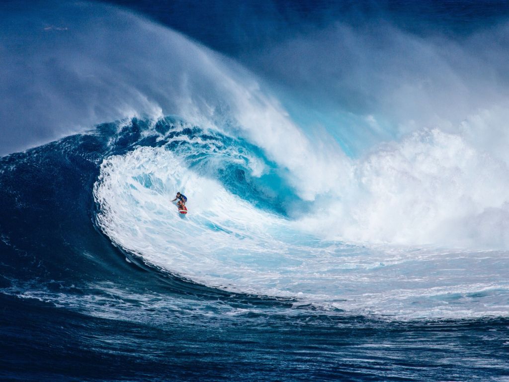 Surfer wallpaper