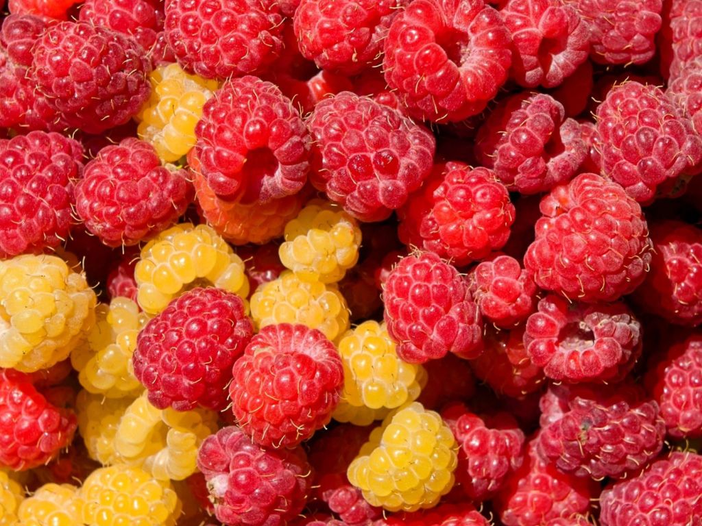 Sweet Raspberries wallpaper