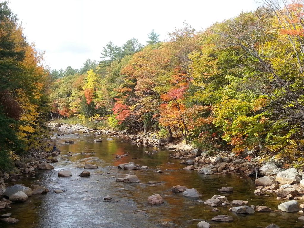Swift River in White Mountain National Forest NH. wallpaper