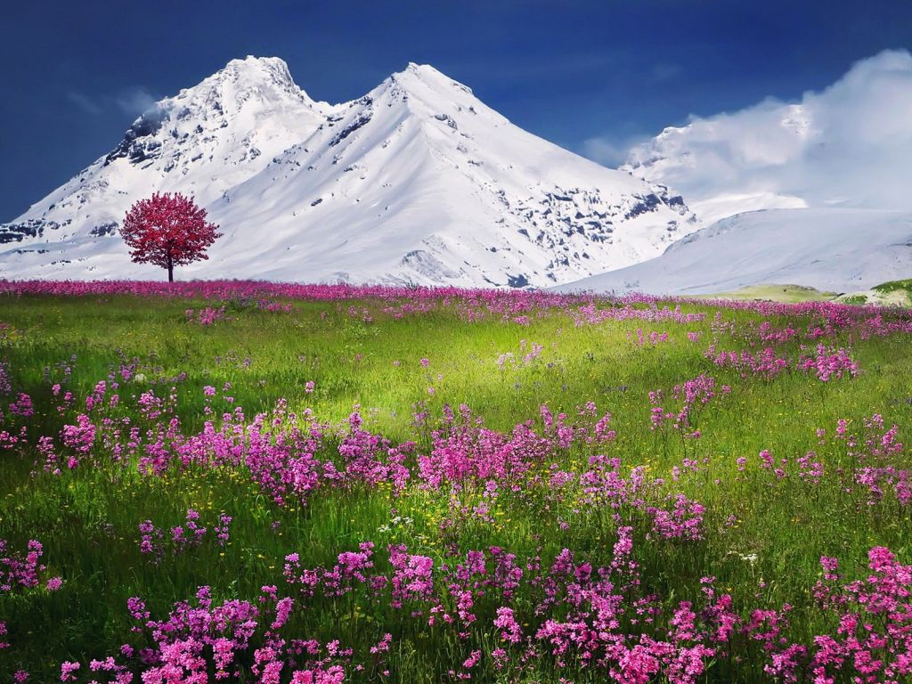 Switzerland Landscape wallpaper
