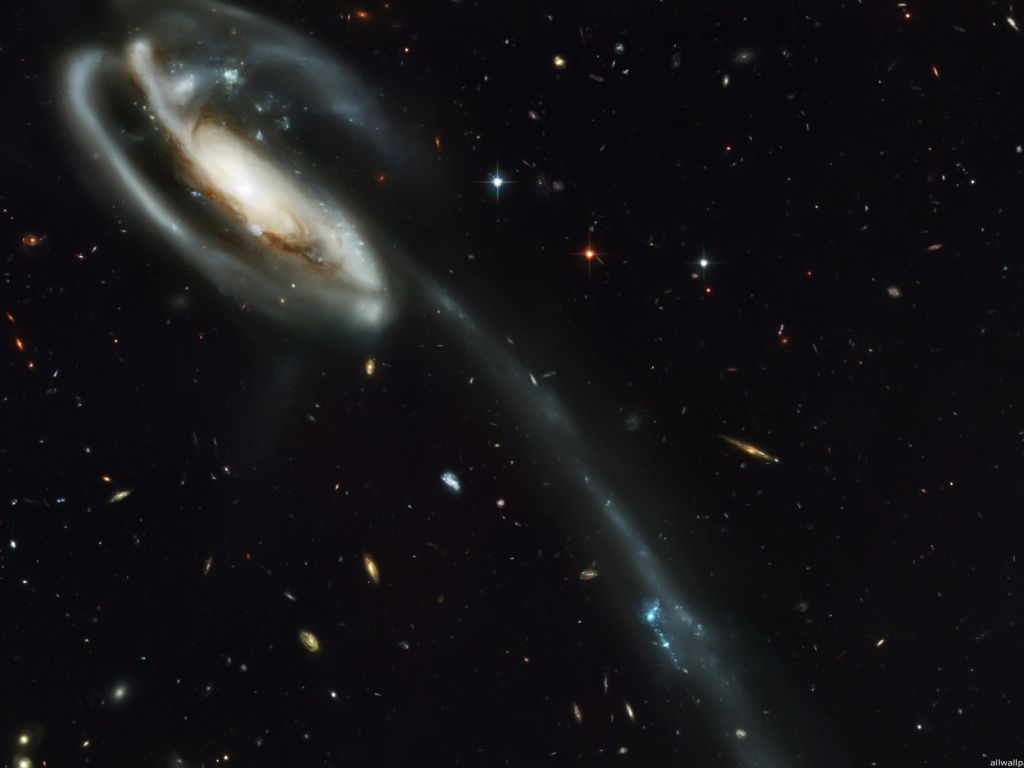 Tadpole Galaxy wallpaper