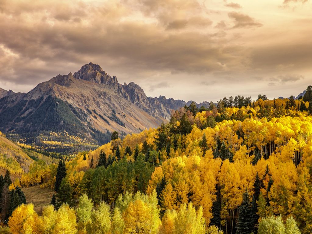 The Autumn Sun Sets on Mount Sneffels Photographed by Greg Ness wallpaper