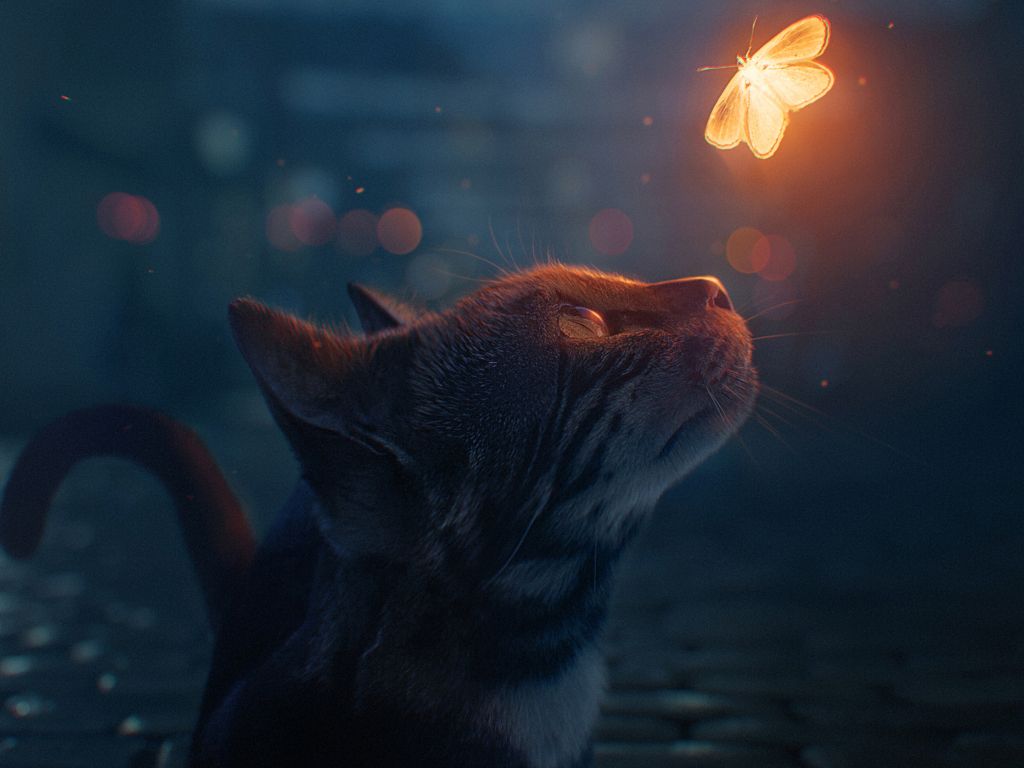 The Cat and the Firefly wallpaper