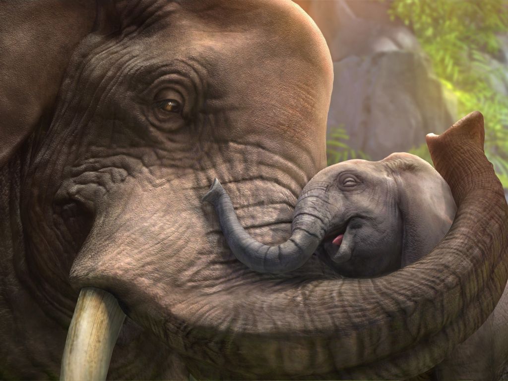 The Elephant Love Animal wallpaper