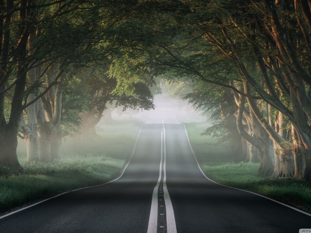 The Most Beautiful Road In The World wallpaper