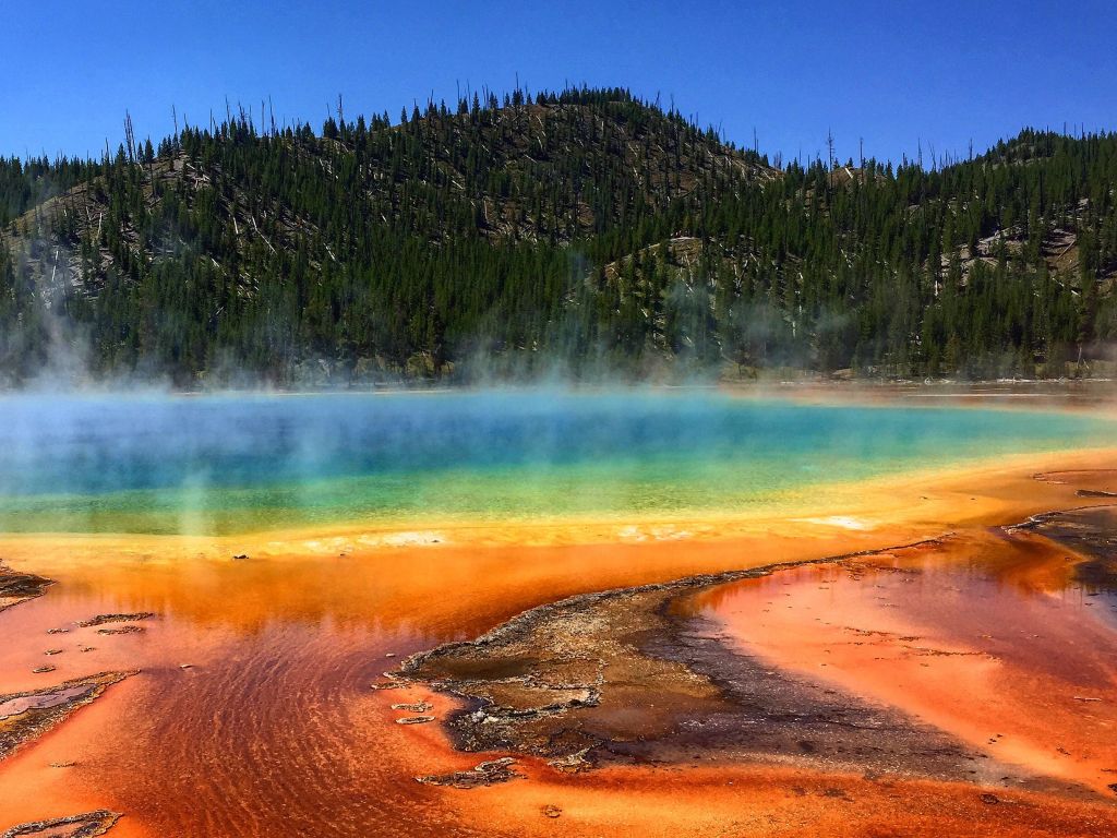 The Rainbow Bacteria of Grand Prismatic Spring Yellowstone USA wallpaper