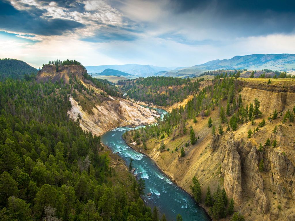 The River Grand Canyon of Yellowstone National Park USA wallpaper