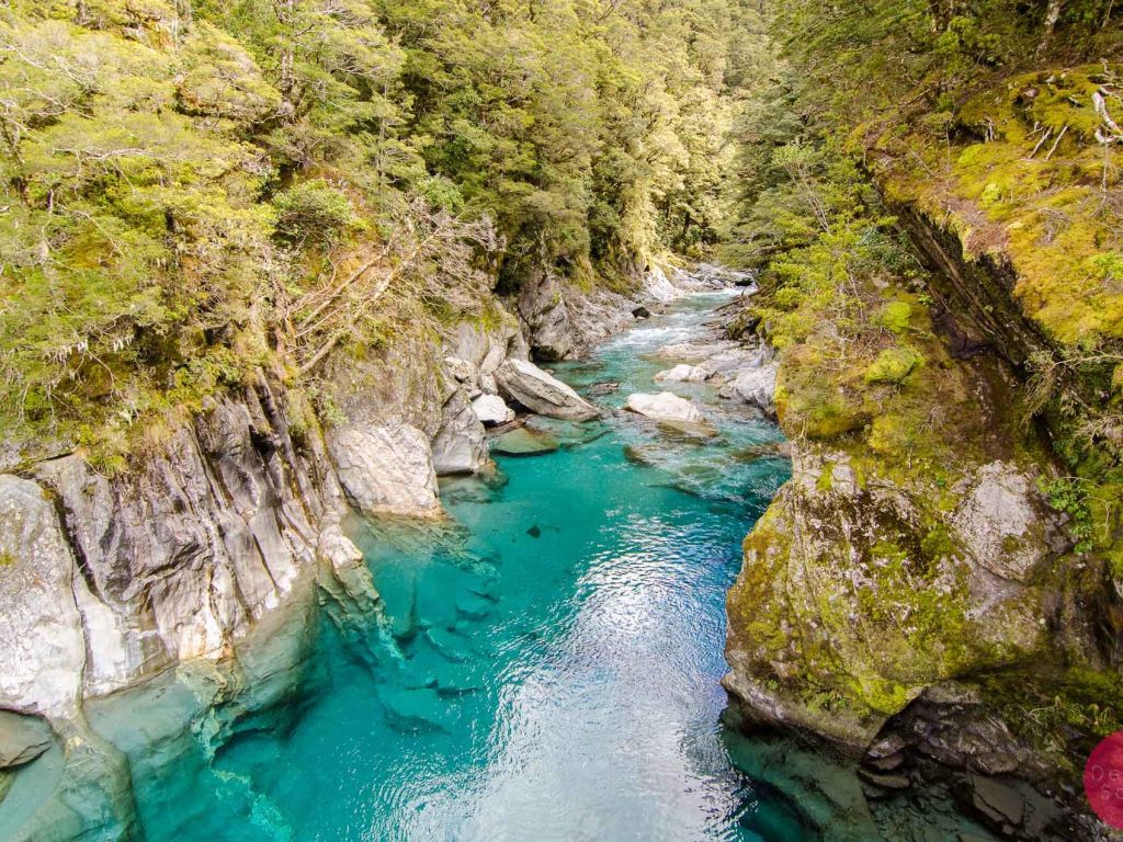 The Stunning Blue Pools of Haast New Zealand OC wallpaper