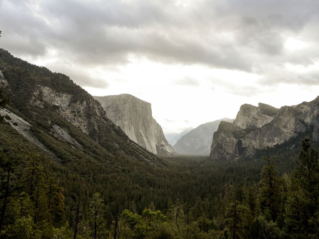 This Was My Morning View for a Week Straight at Yosemite National Park wallpaper