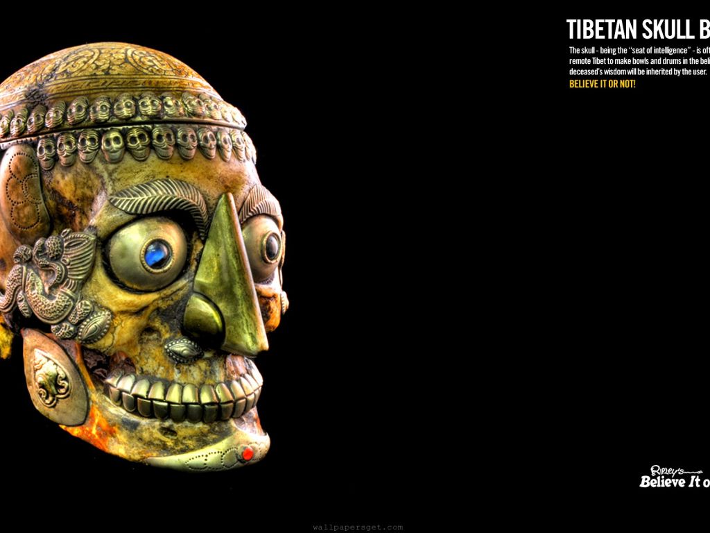 Tibetan Skull Bowl wallpaper