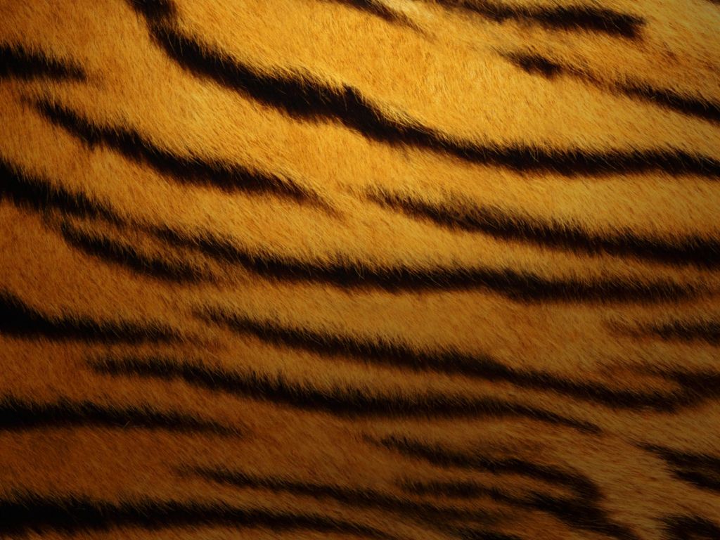 Tiger Skin wallpaper