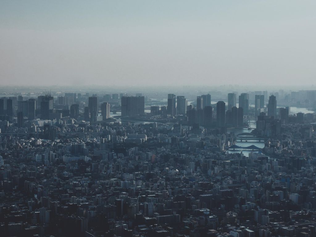 Tokyo City View wallpaper