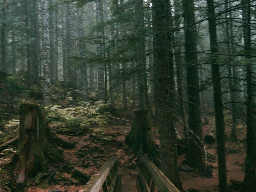 Trail to Mirror Lake Mt Hood National Forest Oregon wallpaper
