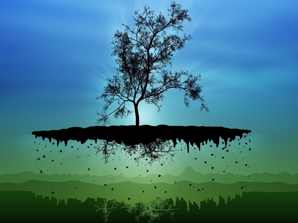Tree Island Floating in the Sky wallpaper