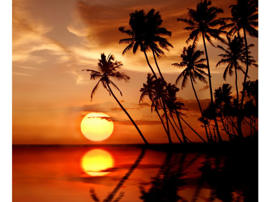 Tropical Sunset S wallpaper