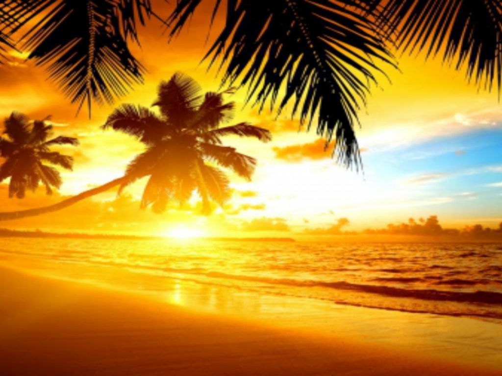 Tropical Beach Sunrise Wallpaper In 1024x768 Resolution