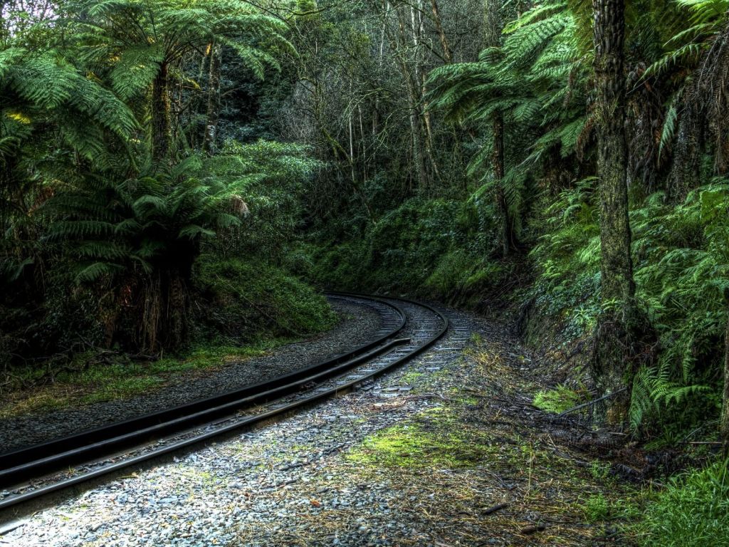 Tropical Forest Railway Landscape wallpaper