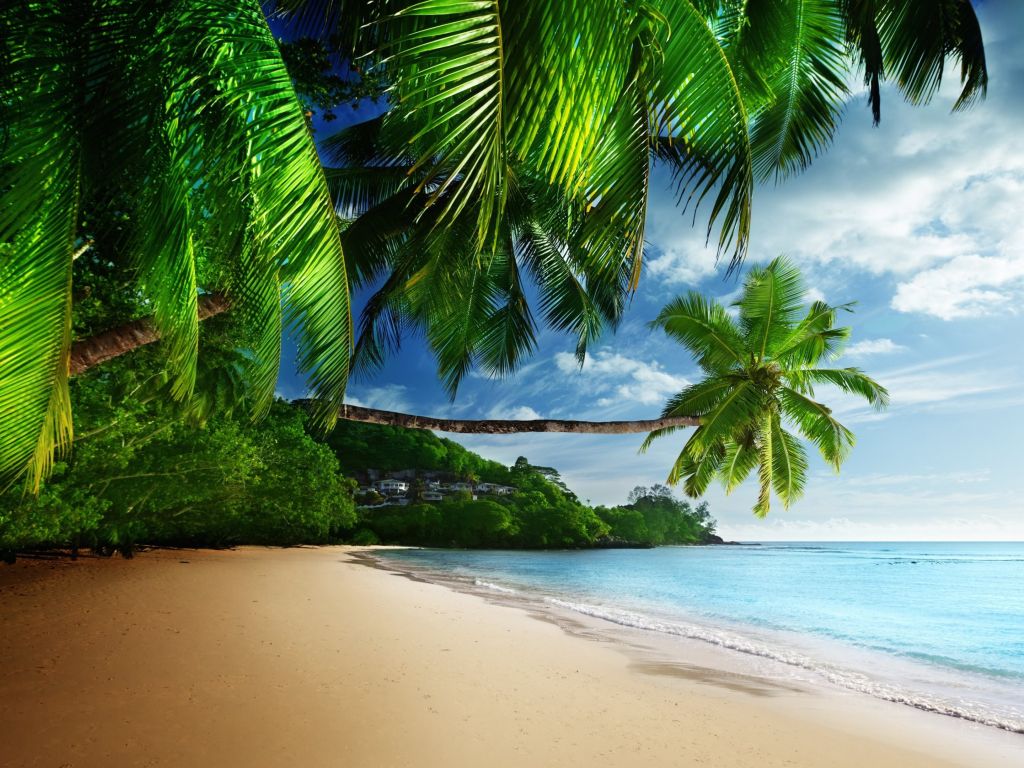 Tropical Paradise Beach wallpaper