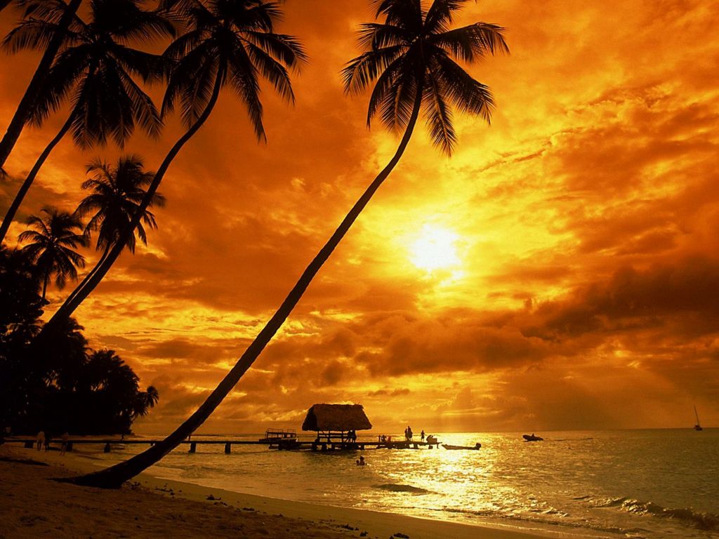 Tropical Sunset Beach wallpaper in 1024x768 resolution