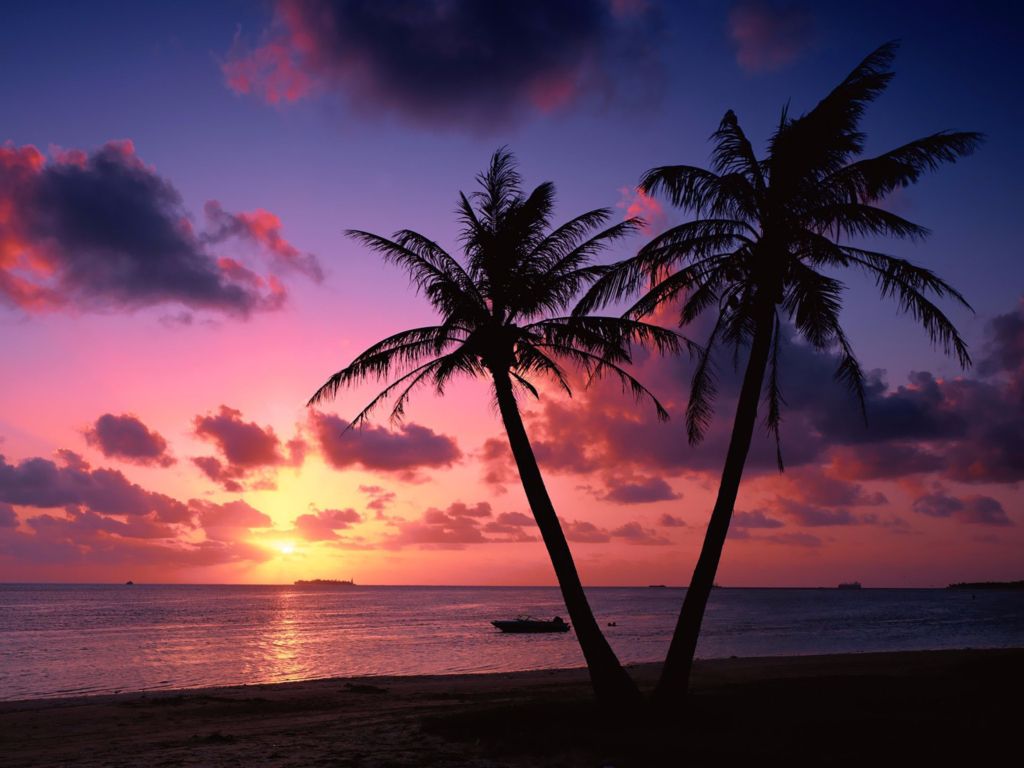 Tropics Sunset wallpaper