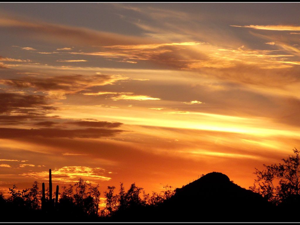 Tucson Desert Sunset wallpaper
