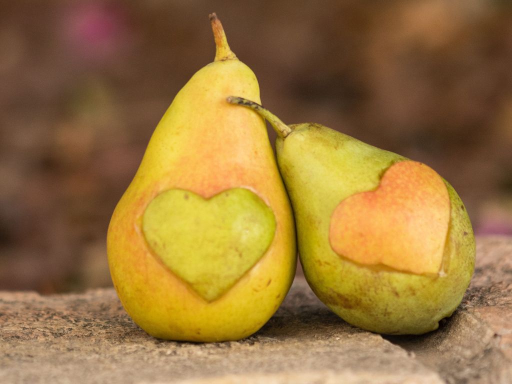 Two Pears on Concrete Surfacex wallpaper