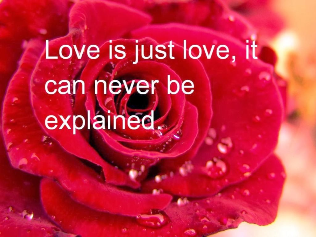 Unexplainable Love Quote wallpaper