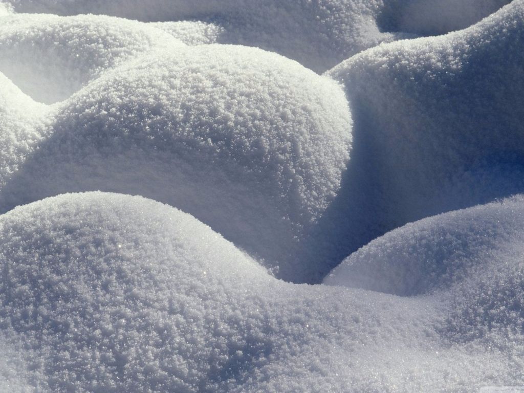 Up Close in Snow Winter wallpaper