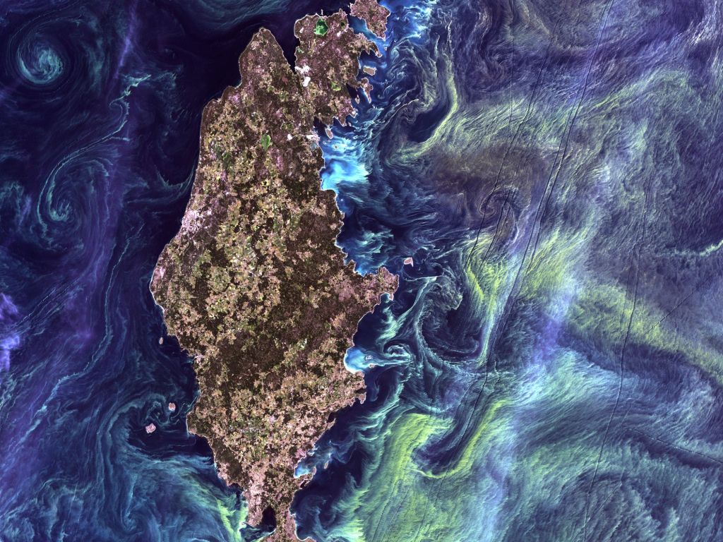 Van Gogh From Space - Phytoplankton Bloom Around Gotland Sweden Credit wallpaper