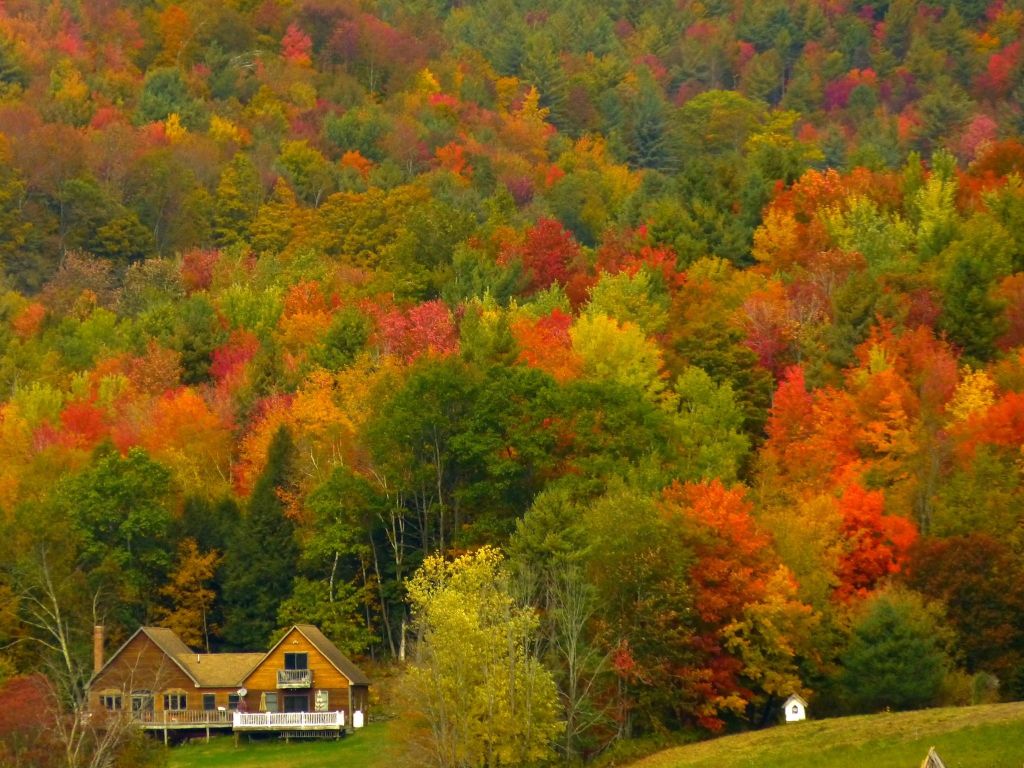 Vermont is the Queen of Fall Colors wallpaper