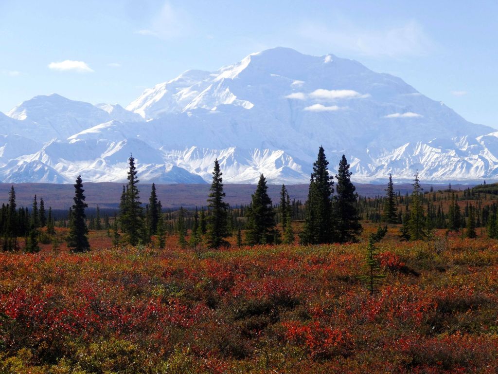 View From Wonder Lake Campground on a Clear Autumn Day Denali National Park Alaska 19790 wallpaper