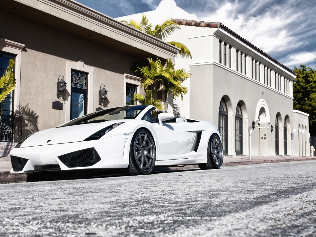 Lamborghini White Gallardo wallpaper