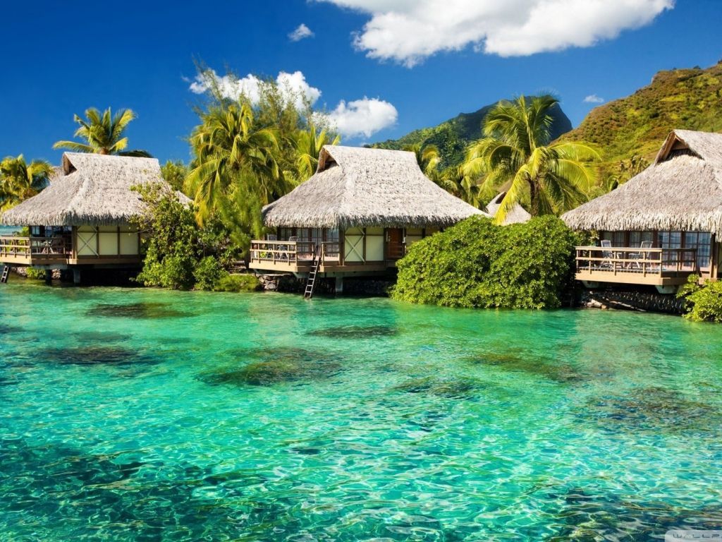 Water Bungalows On A Tropical Island wallpaper